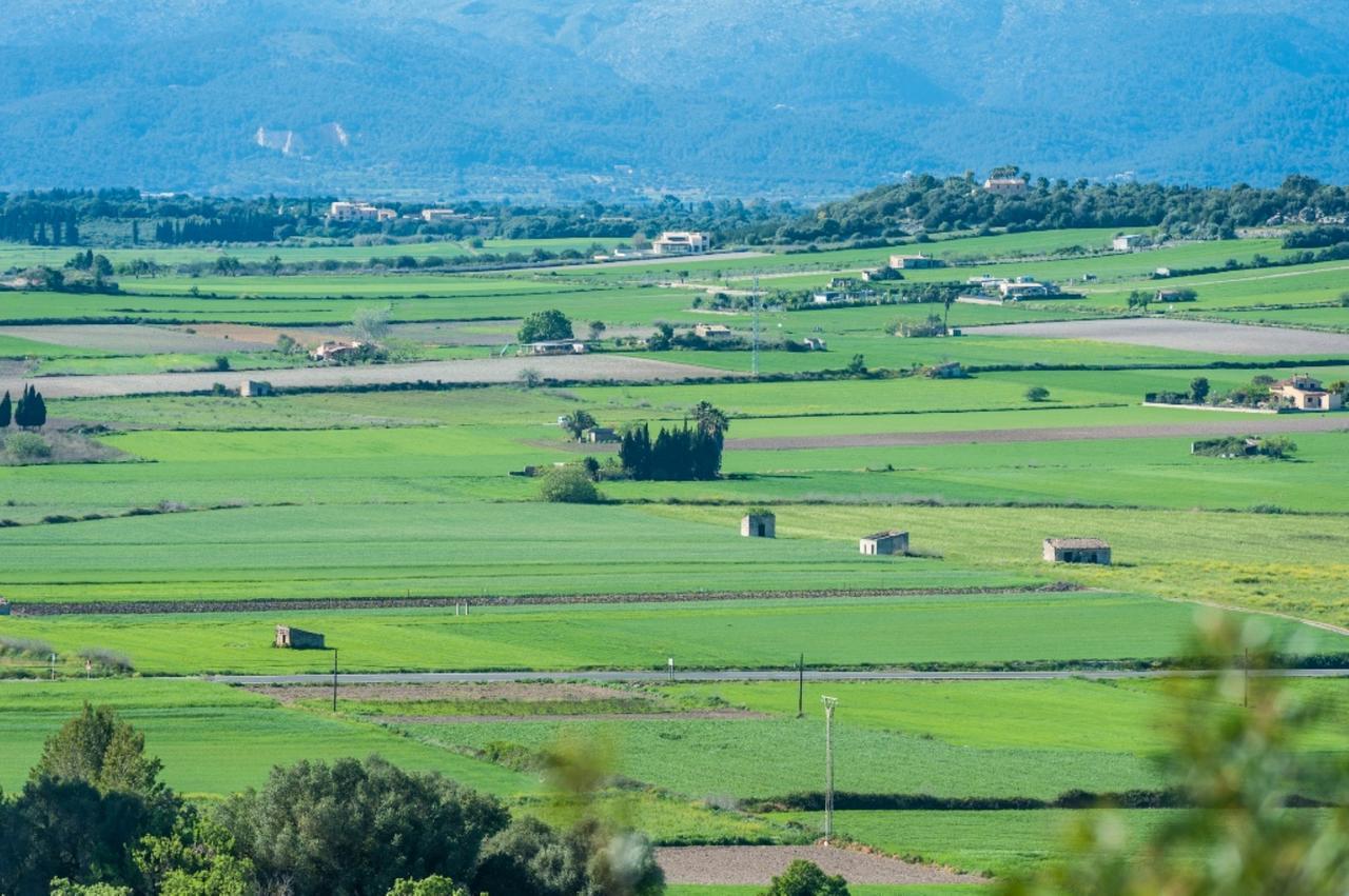Villa Santa Margalida Esterno foto