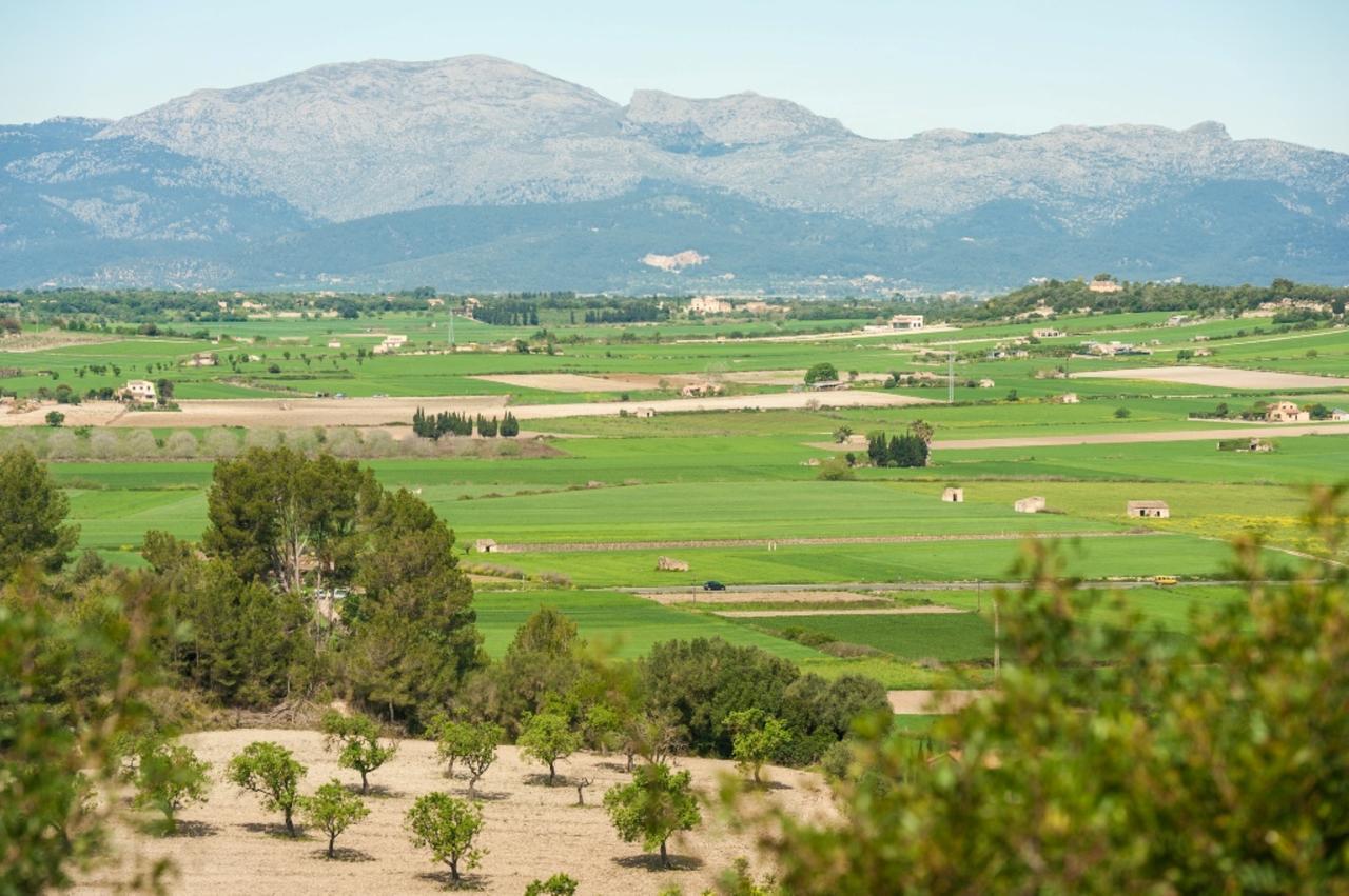 Villa Santa Margalida Esterno foto